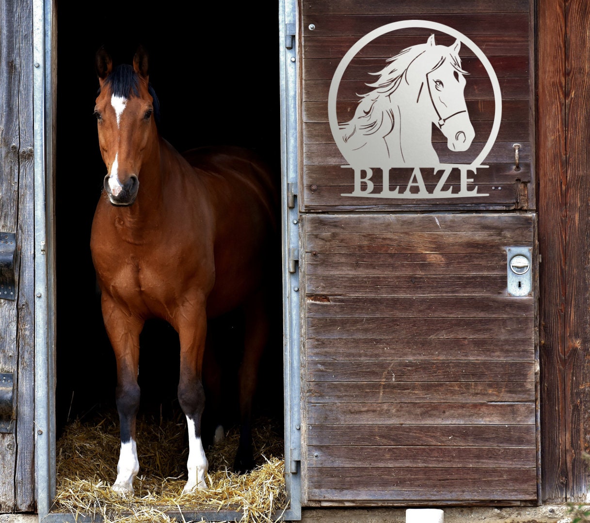 Custom Horse Stall Name Sign, Horse Name Plaque, Personalized Horse Metal Sign for Farm Barn Ranch, Metal Sign Horse Name Plate