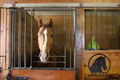 Custom Horse Stall Name Sign, Horse Name Plaque, Personalized Horse Metal Sign for Farm Barn Ranch, Metal Sign Horse Name Plate