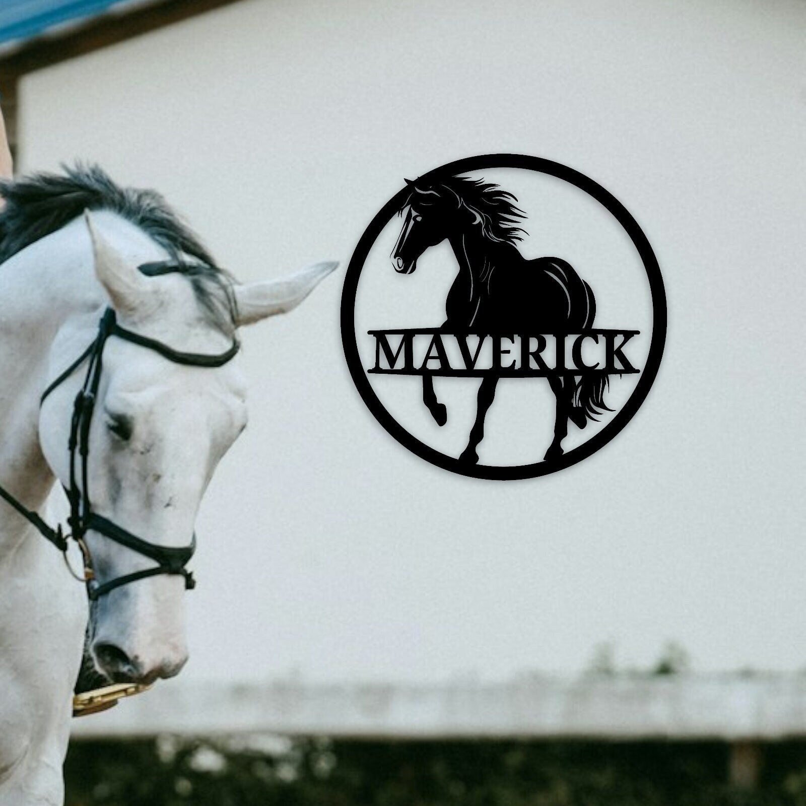 Personalized Horse Stall Name Sign, Name Plaque Custom Horse Metal Sign for Farm Barn Ranch, Metal Sign Horse Name Plate